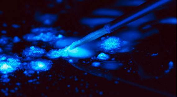 Zahnarztpraxis Dr. Isabel Selmair - München, Schwabing / Zahnersatz, Kronen Brücken